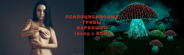 а пвп мука Вяземский