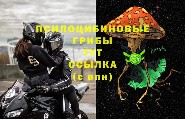 амф Вязьма